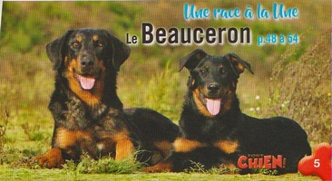 Tout Chien - Le Beauceron, la race à la Une (photos de mes Beaucerons) 