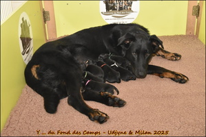 de la naissance au départ