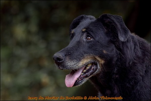 12 ans et 10 mois, sous l'objectif d'Alain Thimmesch