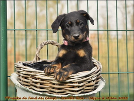 Y'Pushka du Fond des Camps