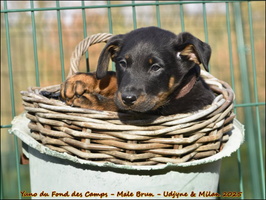 Yuno du Fond des Camps