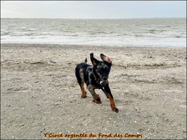 WhatsApp Image 2025-12-07 at 09.17.44 [LIR5 1024x768]