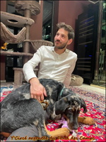 WhatsApp Image 2025-12-25 at 16.01.07 [LIR5 1024x768]