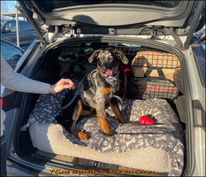 WhatsApp Image 2026-01-03 at 14.01.04 [LIR5 1024x768]