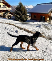 WhatsApp Image 2026-01-07 at 09.02.49 [LIR5 1024x768]