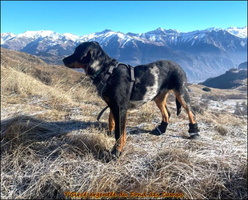 WhatsApp Image 2026-01-07 at 14.05.52 (1) [LIR5 1024x768]