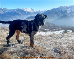 WhatsApp Image 2026-01-07 at 14.05.53 (1) [LIR5 1024x768]