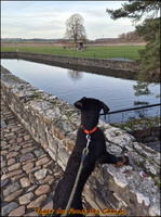 Jager-janvier2026 (1) [LIR5 1024x768]