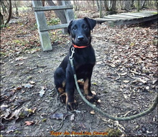 Jager-janvier2026 (4) [LIR5 1024x768]