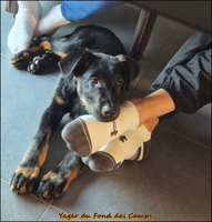 WhatsApp Image 2025-12-29 at 21.55.03 [LIR5 1024x768]