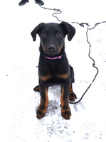 WhatsApp Image 2026-01-10 at 13.52.55