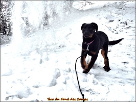 WhatsApp Image 2026-01-10 at 13.52.56 [LIR5 1024x768]