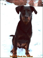 202-01-10 [LIR5 1024x768]