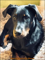 WhatsApp Image 2026-01-07 at 09.06.11 [LIR5 1024x768]