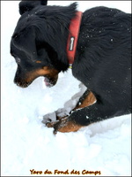 WhatsApp Image 2026-01-08 at 11.34.54 [LIR5 1024x768]