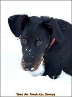 WhatsApp Image 2026-01-08 at 11.34.54 (1) [LIR5 1024x768]