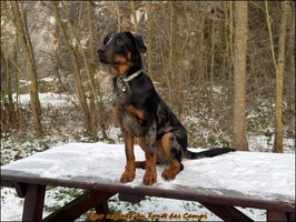 WhatsApp Image 2026-01-06 at 09.17.21 (1) [LIR5 1024x768]