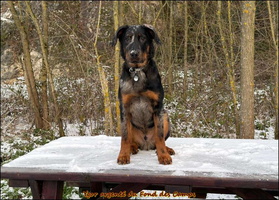 WhatsApp Image 2026-01-06 at 09.17.21 (2) [LIR5 1024x768]