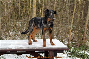 WhatsApp Image 2026-01-06 at 09.17.21 (3) [LIR5 1024x768]