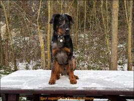 WhatsApp Image 2026-01-06 at 09.17.21 (4) [LIR5 1024x768]