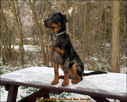 WhatsApp Image 2026-01-06 at 09.17.21 [LIR5 1024x768]