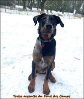 2026-01- [LIR5 1024x768]