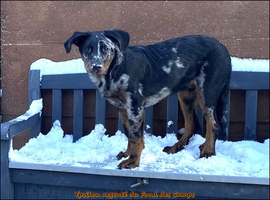 10-01-2026 Ypsilon (1) [LIR5 1024x768]