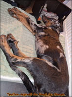 10-01-2026 Ypsilon (2) [LIR5 1024x768]