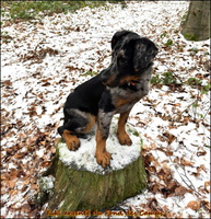 WhatsApp Image 2026-01-03 at 16.58.46 [LIR5 1024x768]