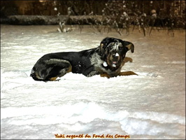 WhatsApp Image 2026-01-05 at 20.13.25 (1) [LIR5 1024x768]