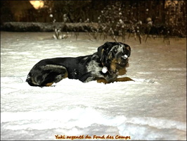 WhatsApp Image 2026-01-05 at 20.13.25 [LIR5 1024x768]