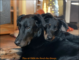 WhatsApp Image 2026-01-11 at 10.00.38 [LIR5 1024x768]