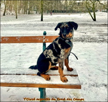 WhatsApp Image 2026-01-10 at 20.38.00 (2) [LIR5 1024x768]