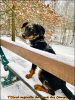 WhatsApp Image 2026-01-10 at 20.38.00 [LIR5 1024x768]