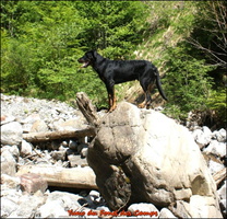 WhatsApp Image 2026-05-29 at 14.57.11 (1) [LIR5 1024x768]