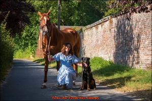 WhatsApp Image 2026-08-09 at 17.26.21 (2) [LIR5 1024x768]