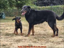 WhatsApp Image 2026-07-22 at 15.32.13 [LIR5 1024x768]