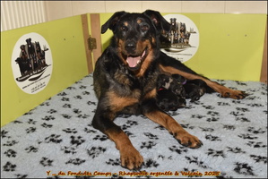 de la naissance au départ