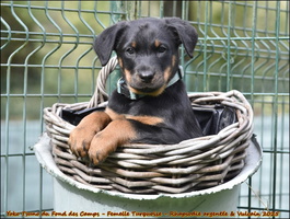 Yoko Tsuno du Fond des Camps