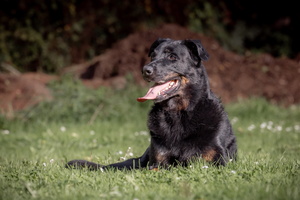 11 ans, sous l'objectif d'Alain Thimmesch