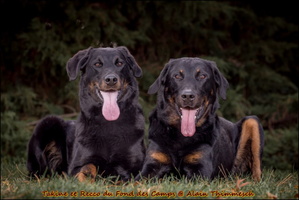 Alain-Thimmesch-Bouge-26102025-Takine-Recco-170 [LIR5 1024x768]