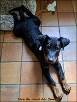 WhatsApp Image 2025-10-28 at 12.49.16 [LIR5 1024x768]