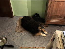 WhatsApp Image 2025-10-15 at 10.08.59 (1) [LIR5 1024x768]