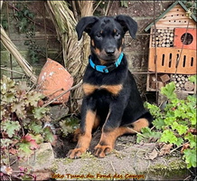 WhatsApp Image 2025-10-19 at 09.26.26 [LIR5 1024x768]