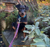 WhatsApp Image 2025-10-28 at 10.34.32 [LIR5 1024x768]