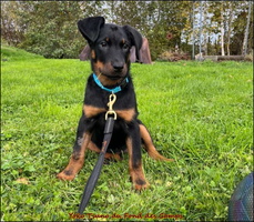 WhatsApp Image 2025-10-29 at 13.58.31 [LIR5 1024x768]