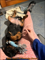 WhatsApp Image 2025-10-31 at 08.15.21 [LIR5 1024x768]