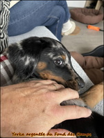 573314628 122106772257060264 9184156120691715898 n [LIR5 1024x768]