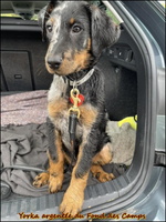 573554794 122107557531060264 5781586371935667511 n [LIR5 1024x768]