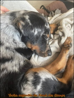 WhatsApp Image 2025-10-31 at 09.20.18 [LIR5 1024x768]